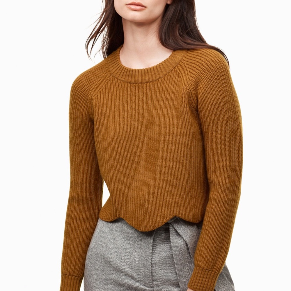 Aritzia sweater in xxs